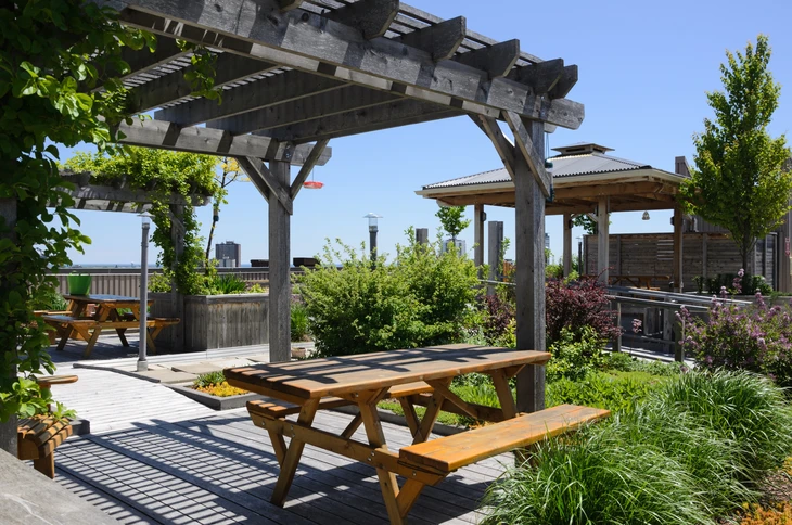 Terrasse extérieure aménagée avec pergola en bois, table de pique-nique et végétation luxuriante