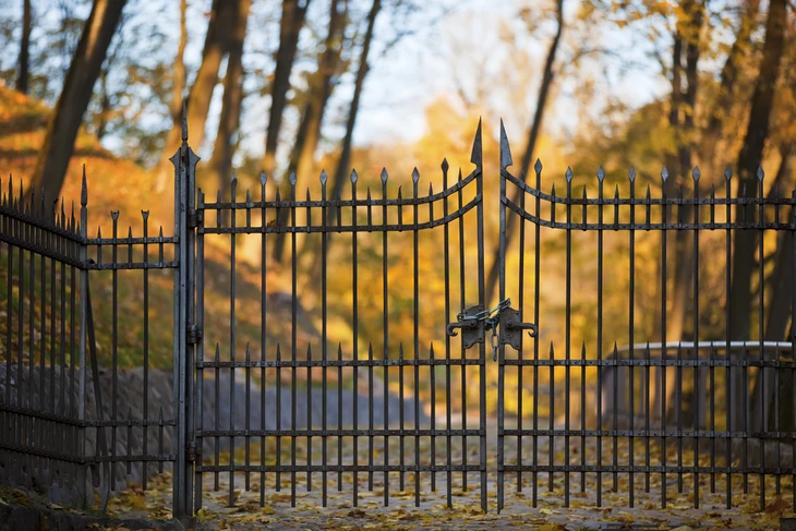 Portail métallique noir fermé par chaîne et cadenas dans un parc automnal