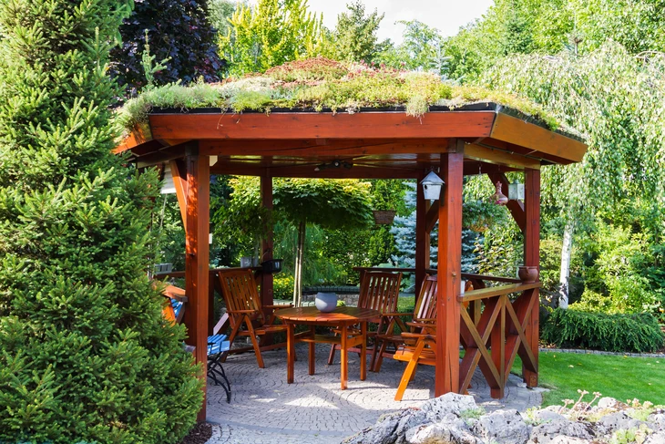 Pergola en bois avec toit végétalisé dans jardin paysager