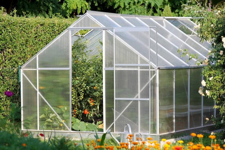 Serre de jardin en polycarbonate alvéolaire installée dans un jardin résidentiel entourée de végétation luxuriante et fleurs colorées