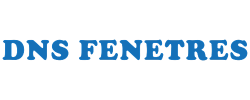 DNS Fenêtres