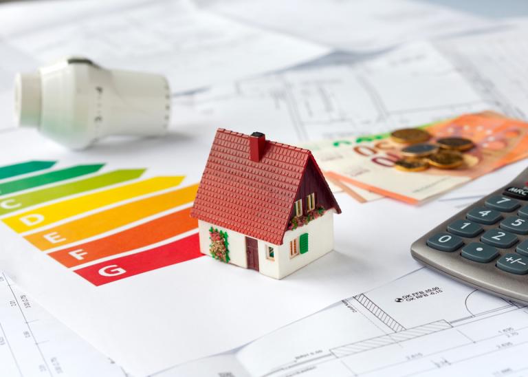 Les Aides pour la Rénovation de Votre Maison en France
